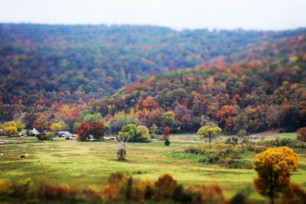 The Ozarks in autumn