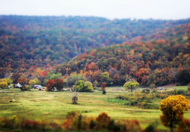 The Ozarks in autumn